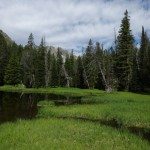 hellroaring basin