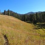 Big Horn Peak, Yellowstone National Park