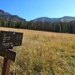 Big Horn Peak, Yellowstone National Park