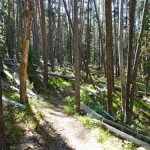 Big Horn Peak, Yellowstone National Park