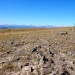 Big Horn Peak, Yellowstone National Park