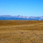 Big Horn Peak, Yellowstone National Park