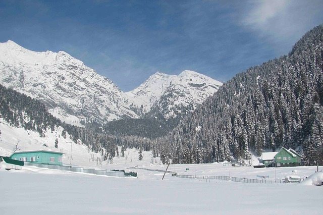 15-Year-Old Student Dies In Avalanche In Kashmir Kashmir, India | Pixabay Image