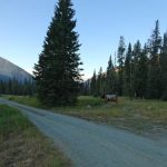 Sentinel Creek TH at Potamagen Park