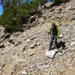 finger mountain madison range grizzlyhttp://mountainjourney.com