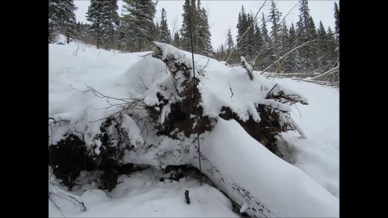 Natural Avalanche Destroys House Near Montezuma, Colorado