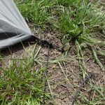 My Trail Co Pyramid 4 Shelter