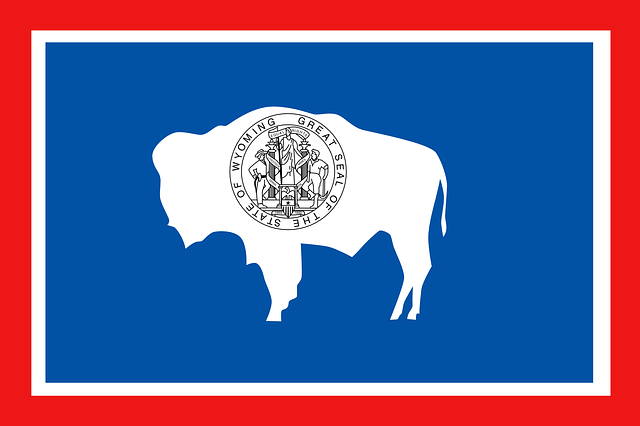 Avalanche Kills Snowmobiler Near Mount Leidy Near Togwotee Pass In Wyoming (UPDATED) Wyoming Flag