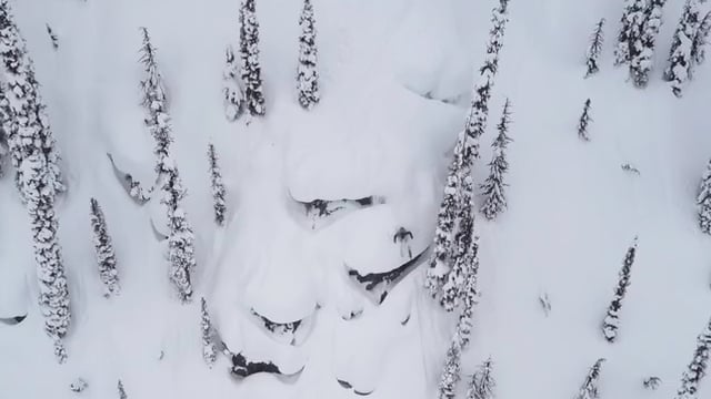 Jonnie Merrill Presents Revy Dreaming