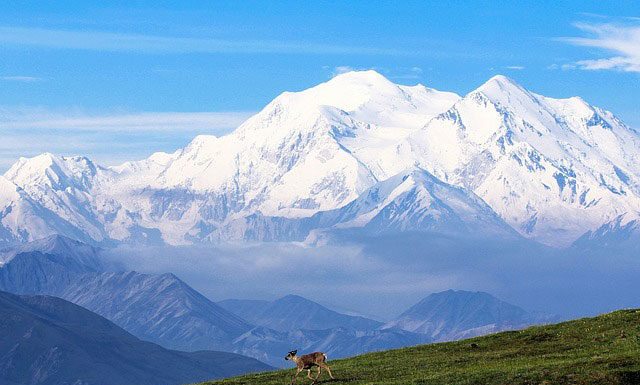 Obama Renames Alaska’s Mount McKinley To Denali Caribou In Front Of Denali | Pixabay Image