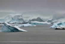 The Best Ernest Shackleton Quotes Antarctica | Pixabay Image