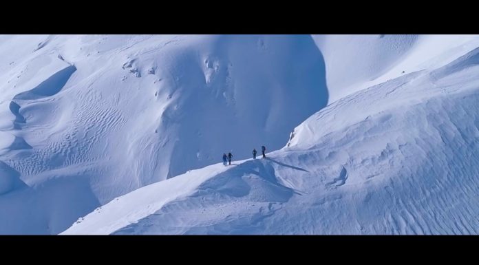 We Are Explorers Presents My Wild Home