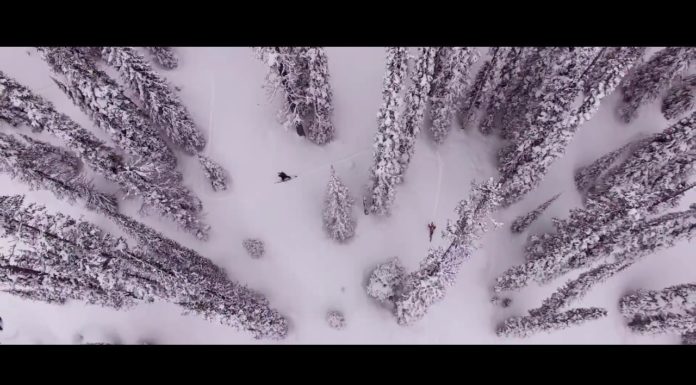 Salomon TV Presents Bearings: East
