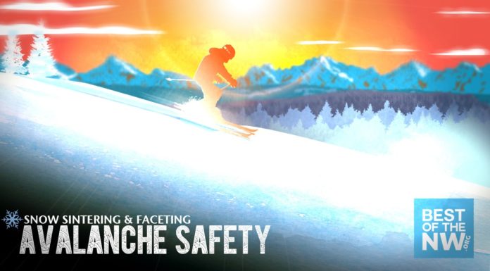 What Do You Know About Snow Sintering?