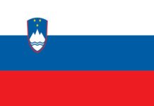 Avalanche Kills Climber On Mrzla Gora In Solcava, Slovenia Slovenia Flag
