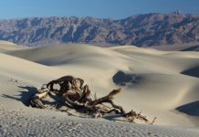 10 Largest Wilderness Areas In The Lower 48 Death Valley | Pixabay Image