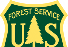 The Biggest National Forests In The United States US Forest Service Logo