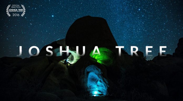 More Than Just Parks Presents Joshua Tree 4K