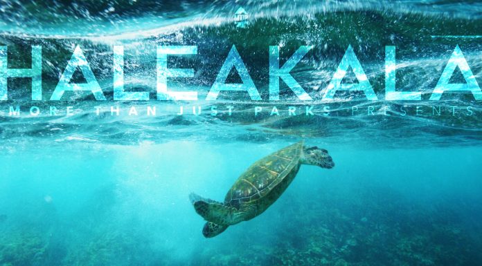 More Than Just Parks Presents Haleakala 8K