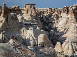 New Mexico Wilderness Areas – List & Map