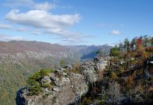 North Carolina Wilderness Areas – List & Map Linville Gorge, North Carolina | Pixabay Image