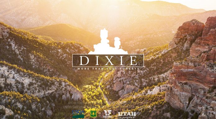 More Than Just Forests Presents Dixie