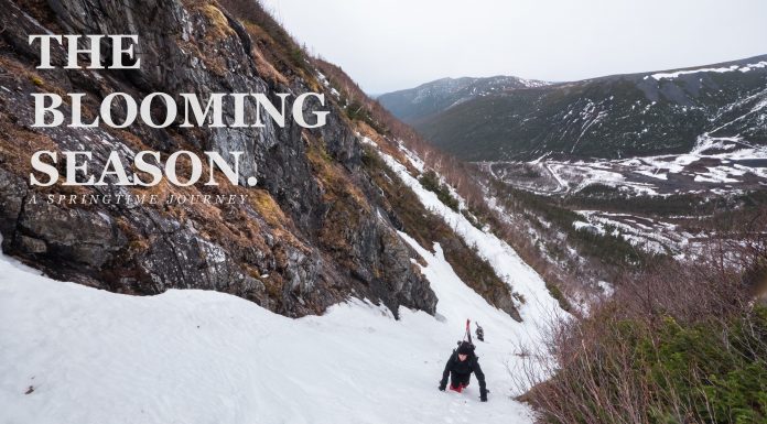 The Loners Presents The Blooming Season