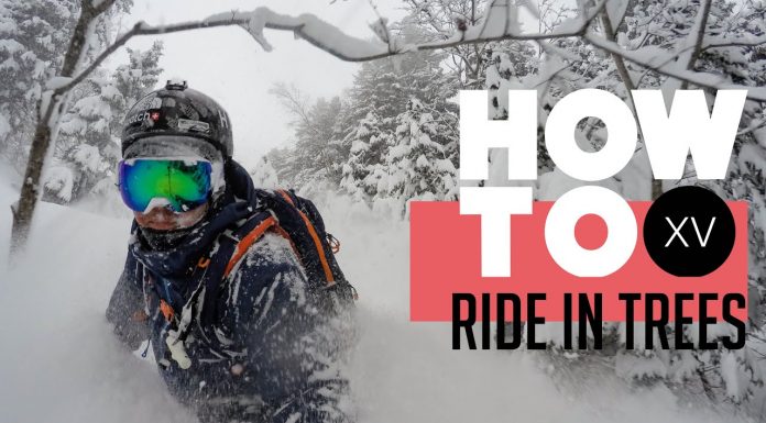 Xavier De Le Rue Presents How To Ride In Trees