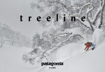 Patagonia Presents Treeline: A Story Written In Rings