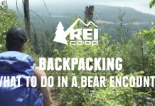 REI Presents What To Do In A Bear Encounter (And How To Avoid One)